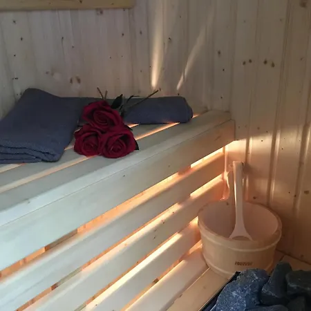 Family&Business Sauna Apartments Sienkiewicza Centrum No3 oraz No4 z Parkingiem NEW! Kielce Zewnętrze zdjęcie